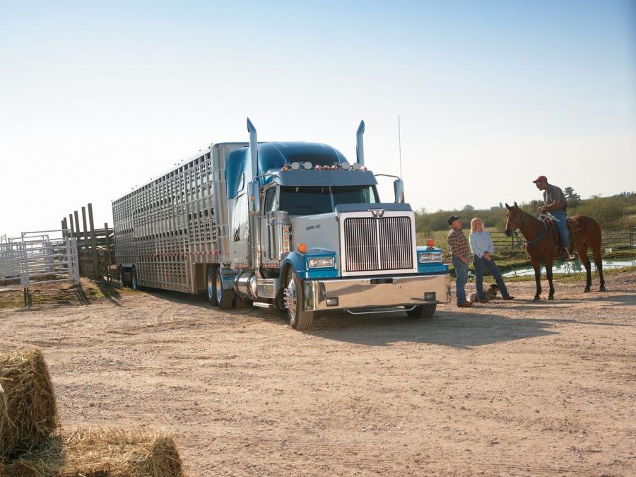  Western Star 4900 EX LowMax Long Haul 2008 года  (фото 6 из 9)